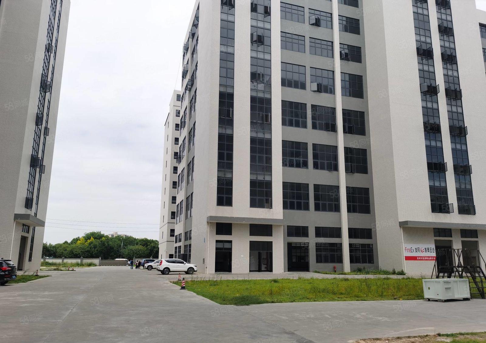 茶山全新标准一楼厂房出租1500平方，带牛角水电到位，高7米