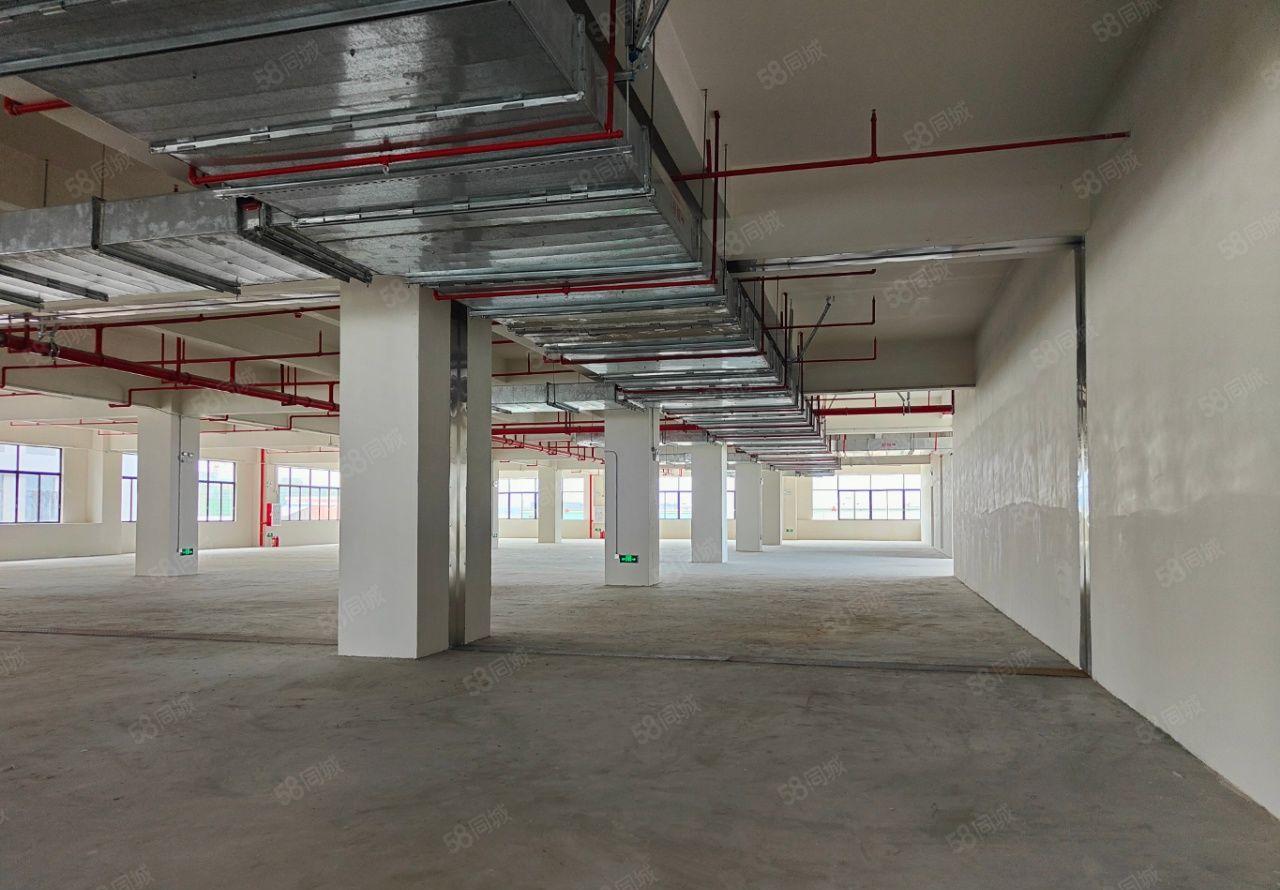 茶山全新独门独院花园式厂房出租，证件齐全  可办环评 可分租