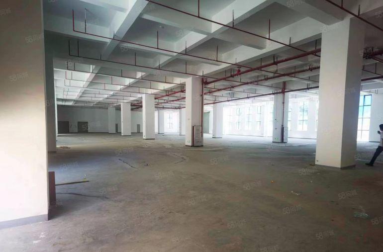 茶山上元原房东标准厂房12元随时免费带看 便停车 易招工