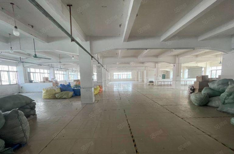 茶山二楼标准厂房12块原房东招租 带现成办公室 空地大保养新