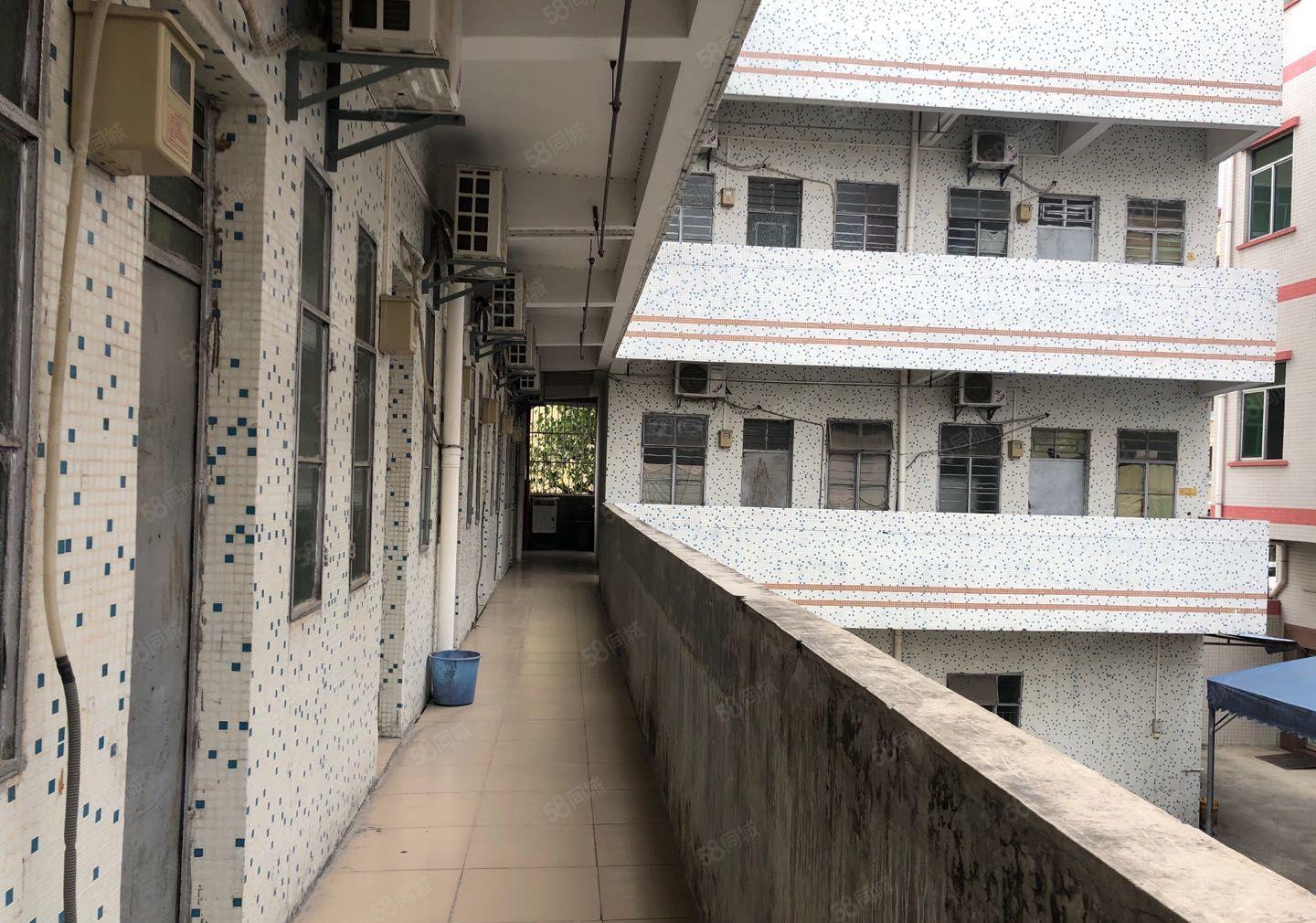 高端，大气标准独院厂房，适合制衣厂，电子厂，五金厂