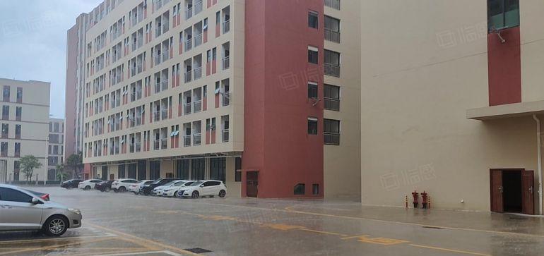 两百起租8元低价甩租茶山石龙石排村委4千平一楼仓库厂房出租