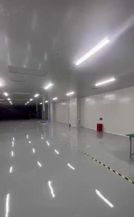 茶山卢边原房东花园式厂房出租独门独院