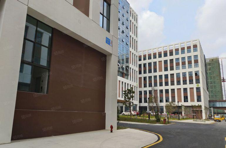 原房东出租非中介！茶山新出3000平红本厂房实际面积出租