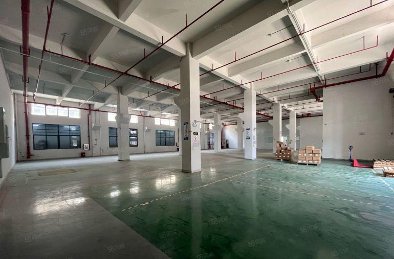 厂房出租带现成水电精装修茶山镇原房东出租1楼5楼各1350平