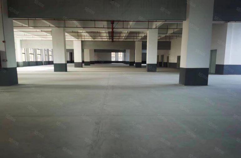 茶山超朗原业主新园区11元免费带看 面积可选 招工便利