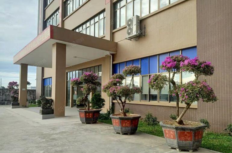 茶山镇伟建工业园区花园式独门独院标准厂房54000平米出租