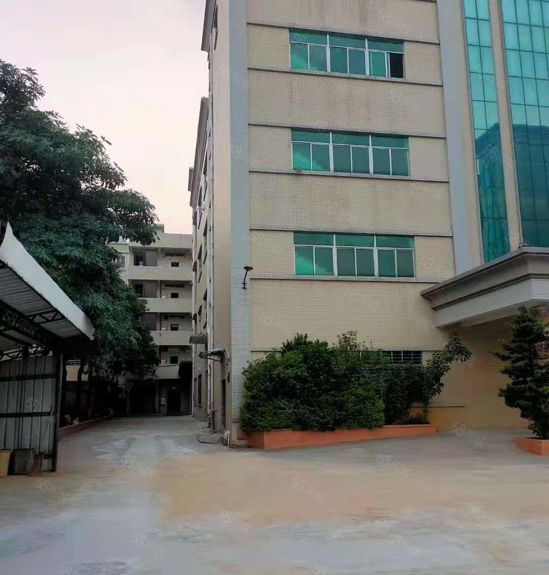 茶山镇独门独院厂房3400平方招租