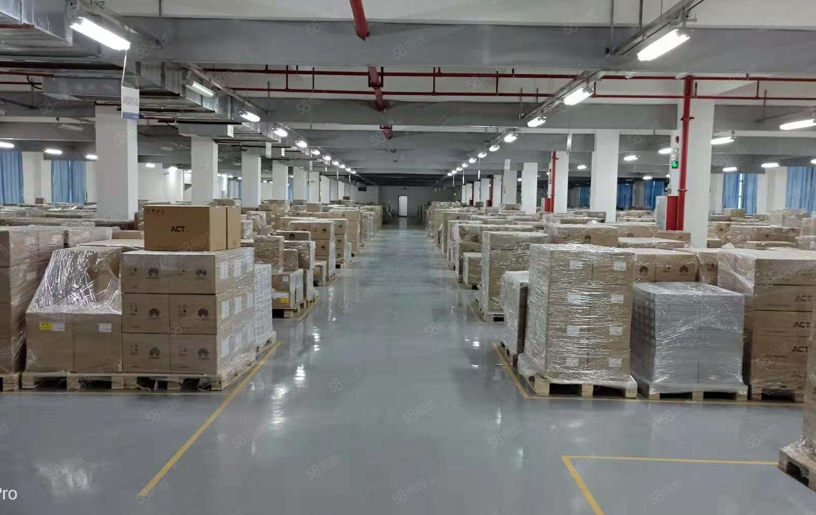 茶山镇低价厂房出租4200平方1000平方起分租带地坪漆