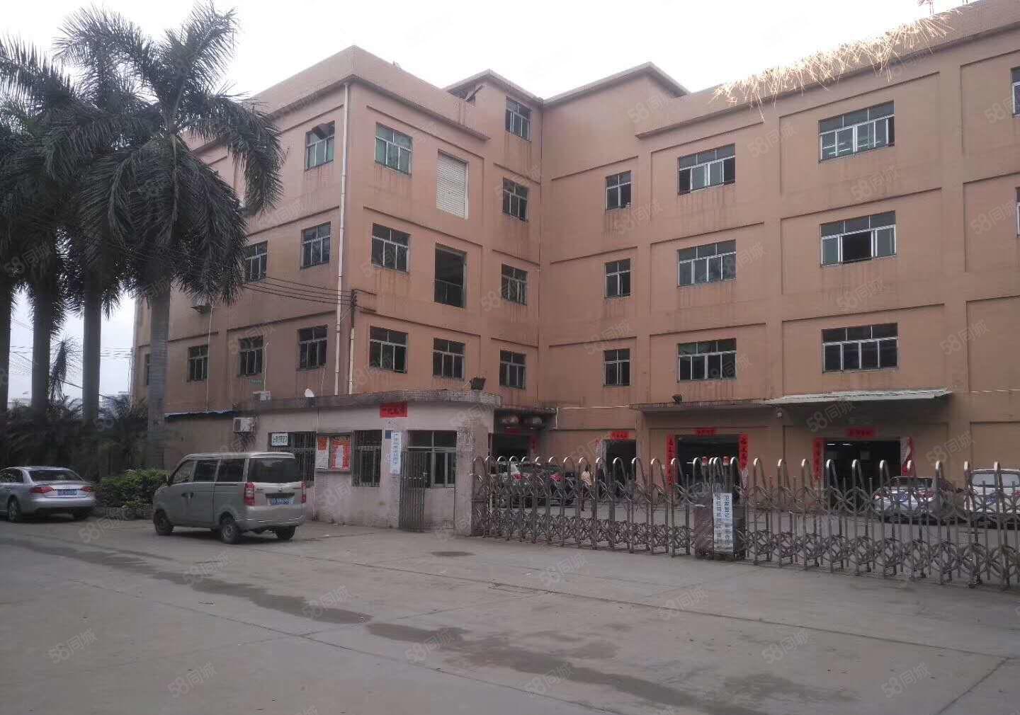 茶山工业园一楼厂房招租，一楼4200平方