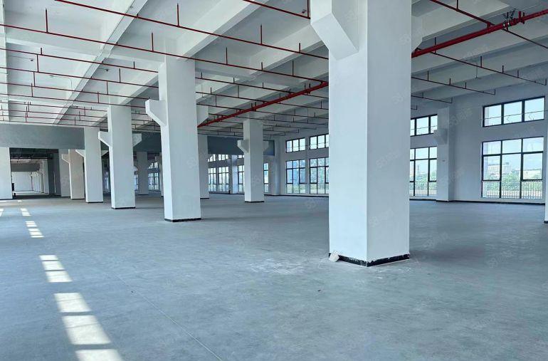 一手房东出租！5吨大货梯茶山5300平方全新重工业厂房出租