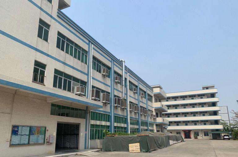 茶山新出原房东独院8000平方精装修红本厂房出租可分租