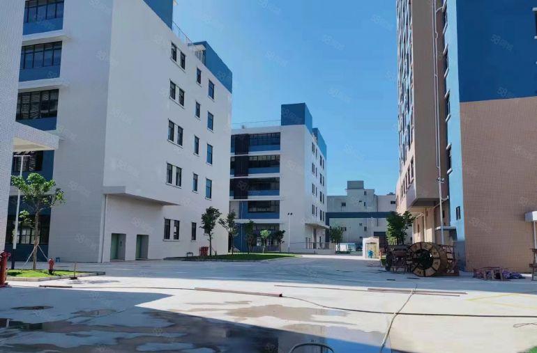 业主直租10块一平！茶山原业主1100平红本厂房出租