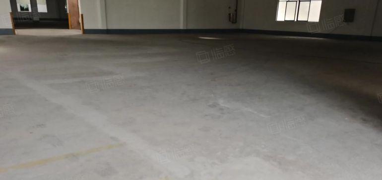 茶山镇原房东独院厂房出租单一层5000平方米整租办公室装修