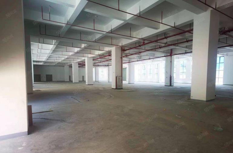 茶山上元原房东标准厂房12元随时免费带看 便停车 易招工