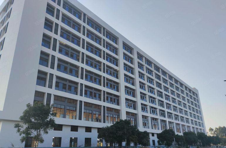 茶山原房东15660平重工业厂房出租 大小分组