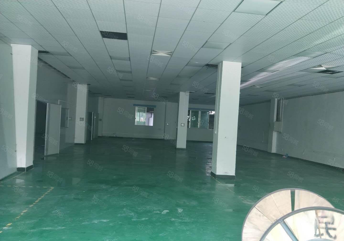 茶山镇原房东带装修厂房分租1100平方招租