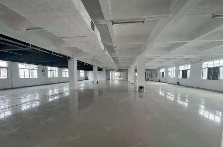 茶山楼上标准厂房10块起租3台电梯可生产可办公可分租 好招工