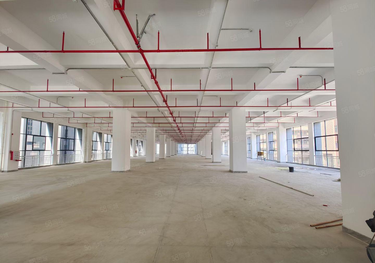 茶山镇共性厂房自带环评，适合阳极氧化酸洗磷化电镀镍钝化等行业