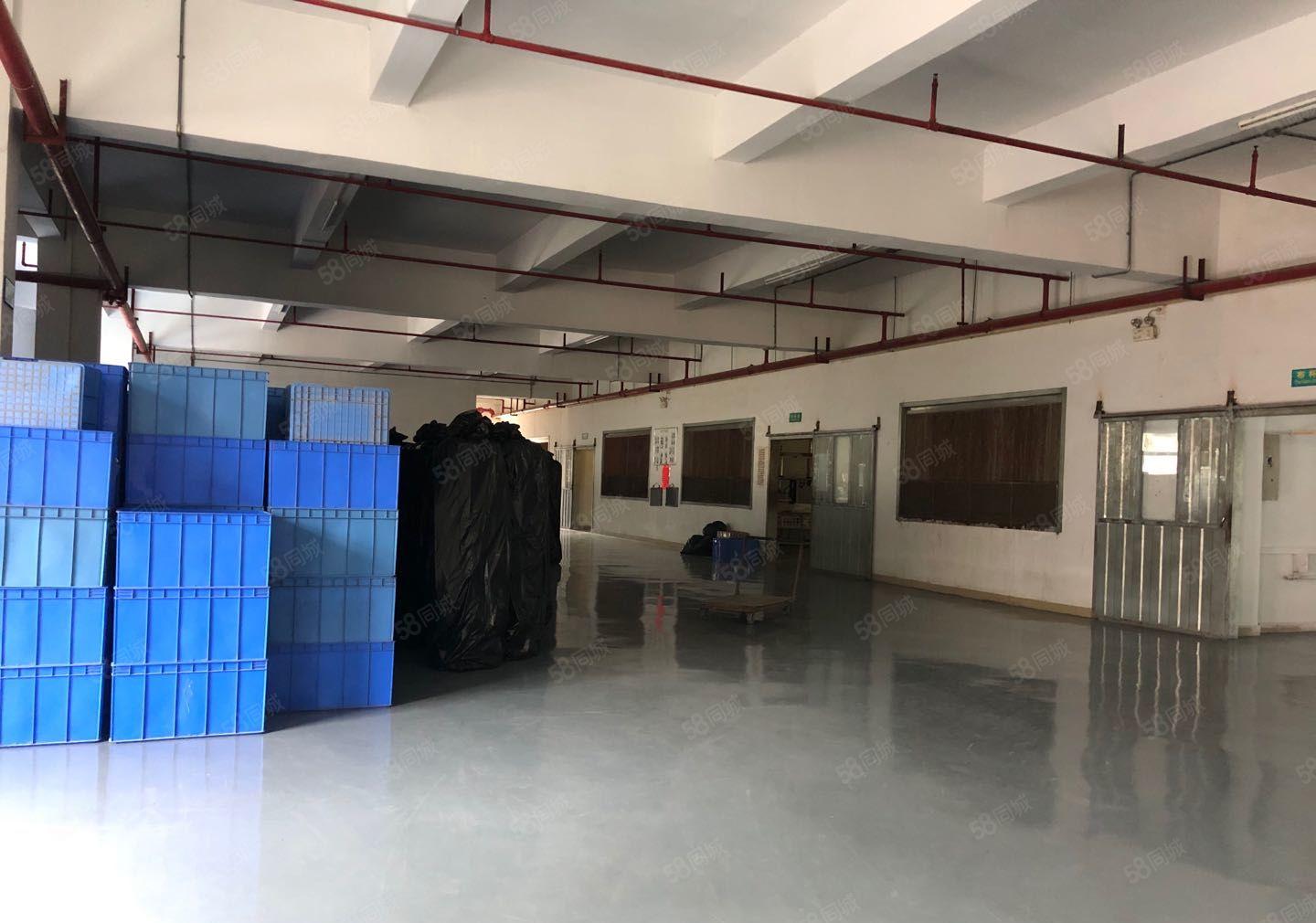 高端，大气标准独院厂房，适合制衣厂，电子厂，五金厂