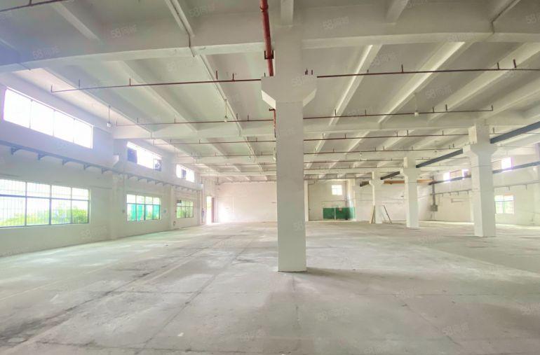 厂房出租  原房东  一楼6.5米  适合注塑五金模具设备等