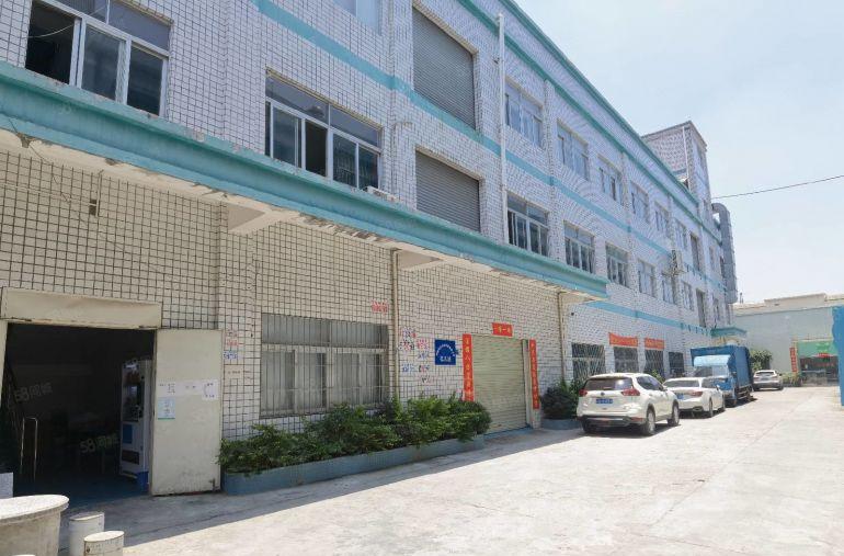 茶山1500平一楼现成无尘车间装修办公室水电齐全独院厂房出租