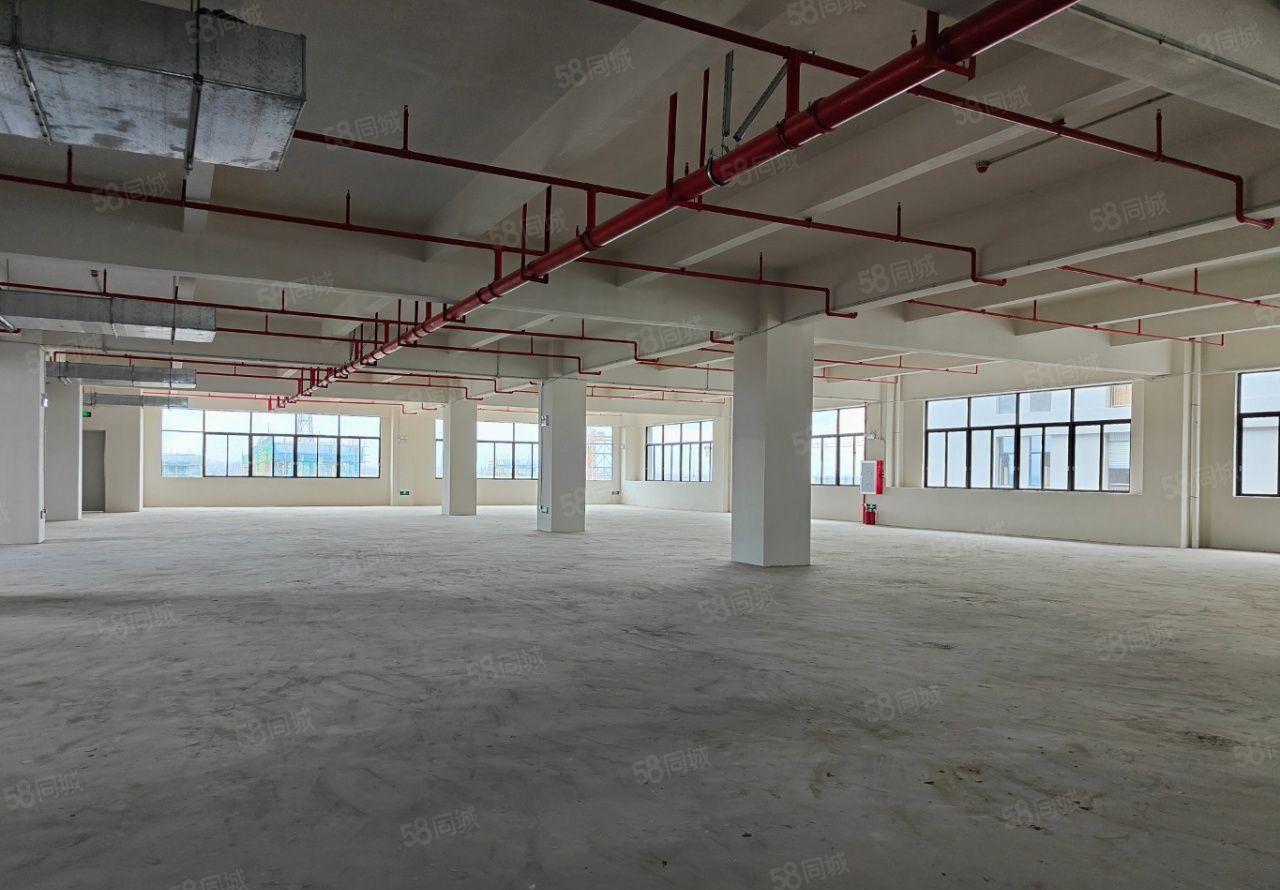 茶山全新独门独院花园式厂房出租，证件齐全  可办环评 可分租