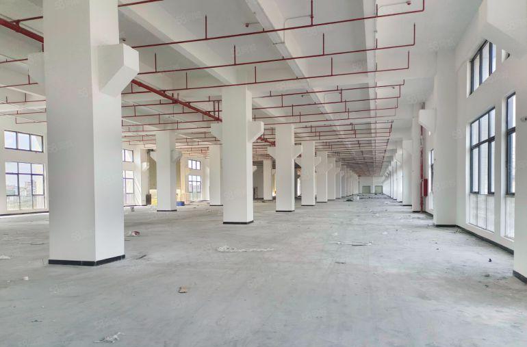 茶山原房东10块一平！15660平重工业厂房出租 大小分组