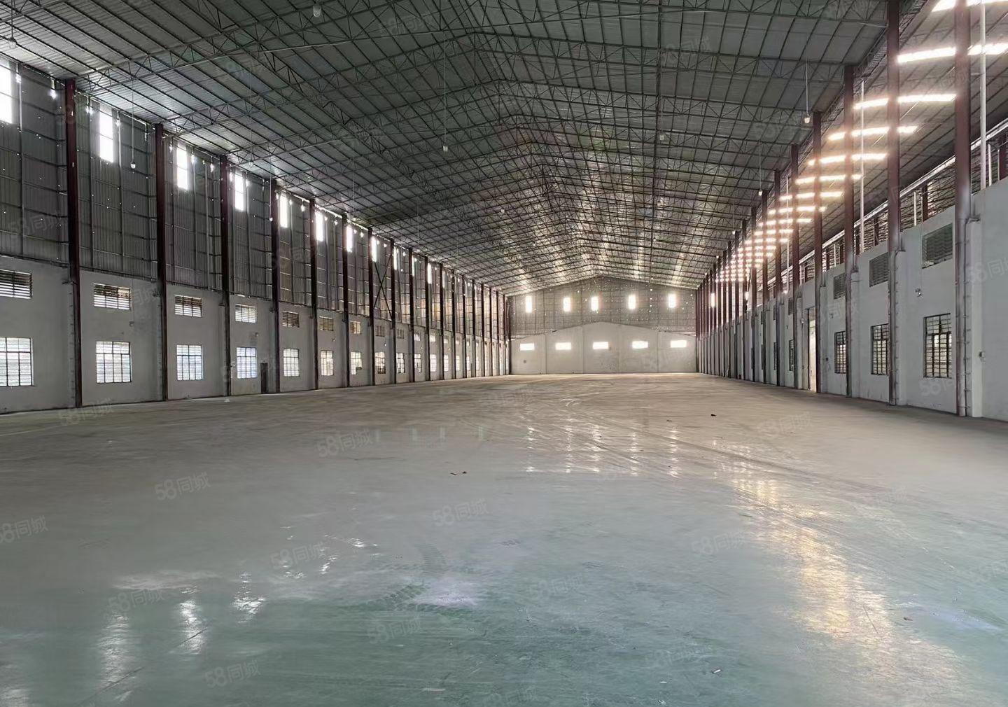 特价招租 原房东独院铁皮房8000平滴水8米 1000平起租