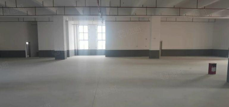 茶山超朗原业主新园区11元免费带看 面积可选 招工便利