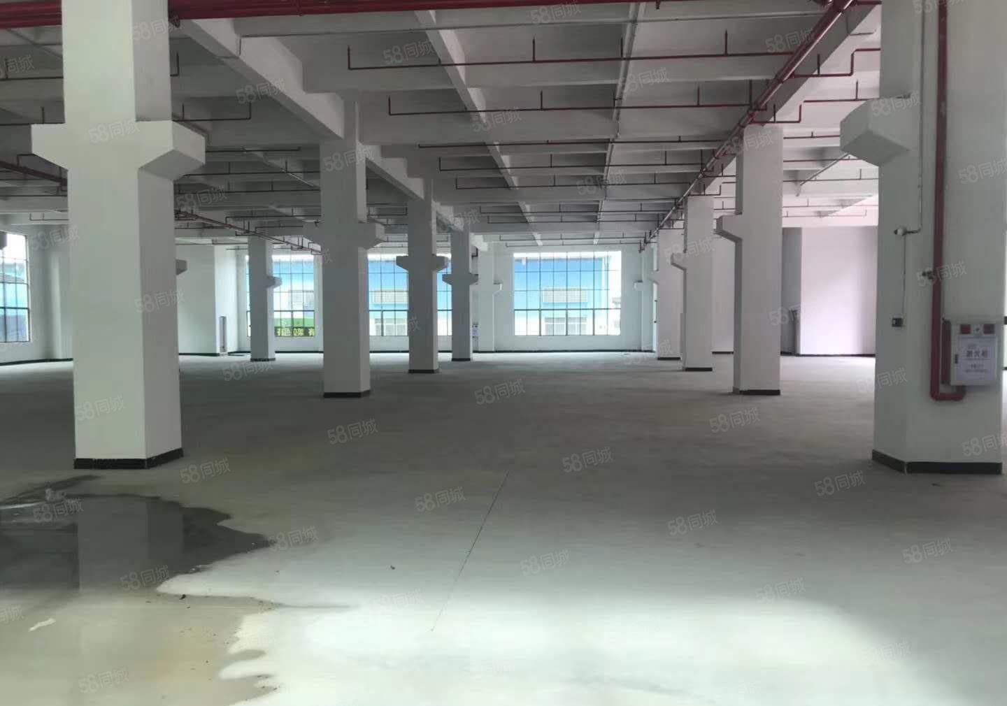 茶山工业园一楼厂房招租，一楼4200平方