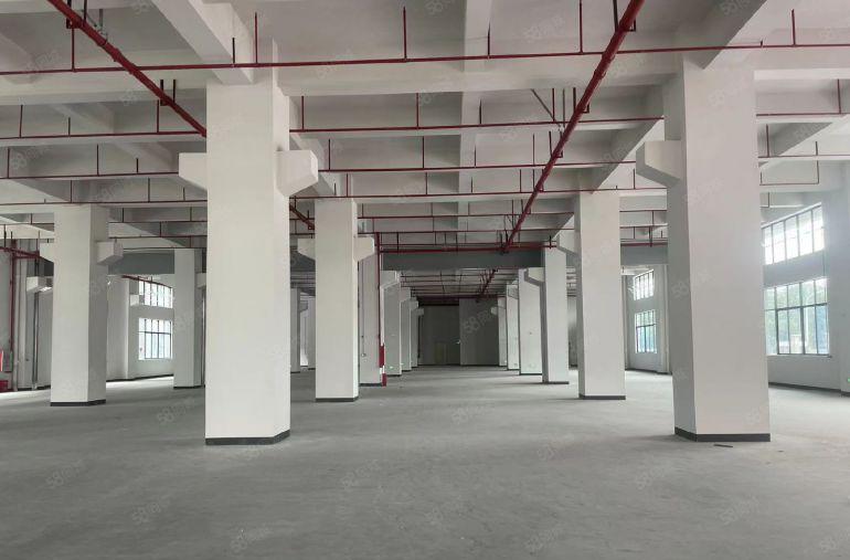 茶山 标准独院厂房 一层高7.5米 带牛角 适合各种重工业