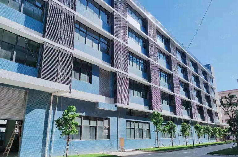 茶山一手业主10元一平！原房东2610平全新红本厂房出租