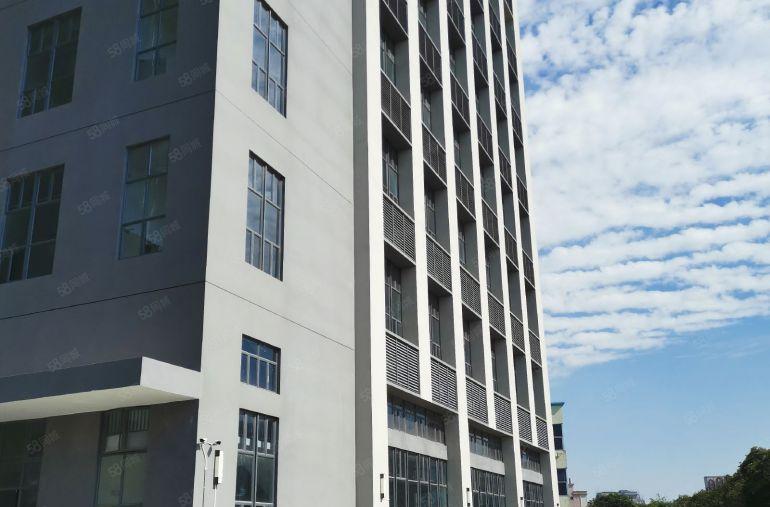 茶山镇新出原房东实际面积出租