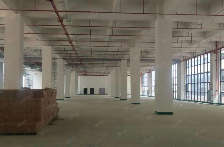 茶山镇带天然气蒸汽管道厂房招租，二次消防，两部3吨电梯！