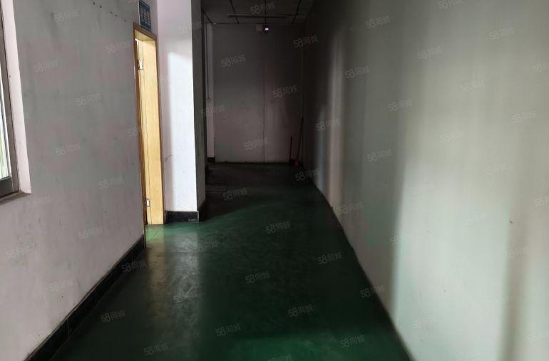 茶山镇原房东一楼实际面积出租，一楼层高六米