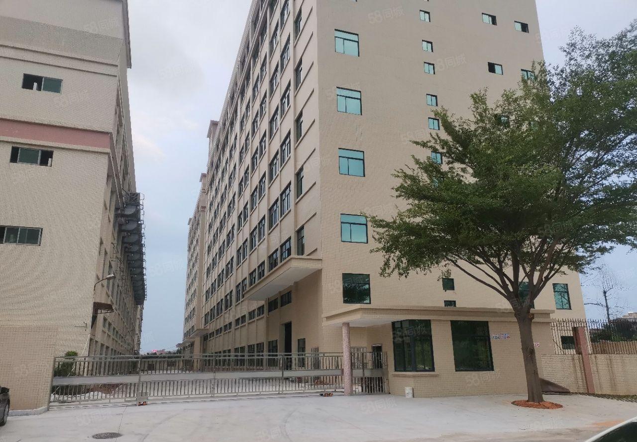 茶山新出一手原房东标准独院厂房28000平米水电齐全欢迎来电