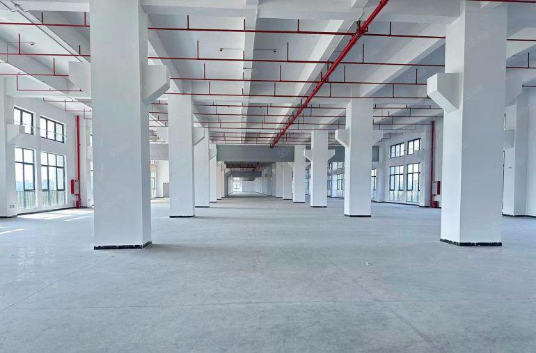 一手房东出租！5吨大货梯茶山5300平方全新重工业厂房出租