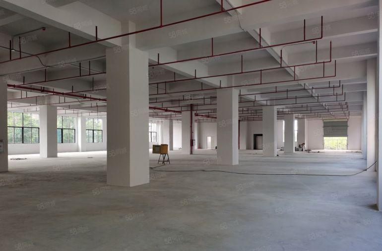 茶山镇原房东独院厂房实际面积出租单层1500平方一楼高度5米