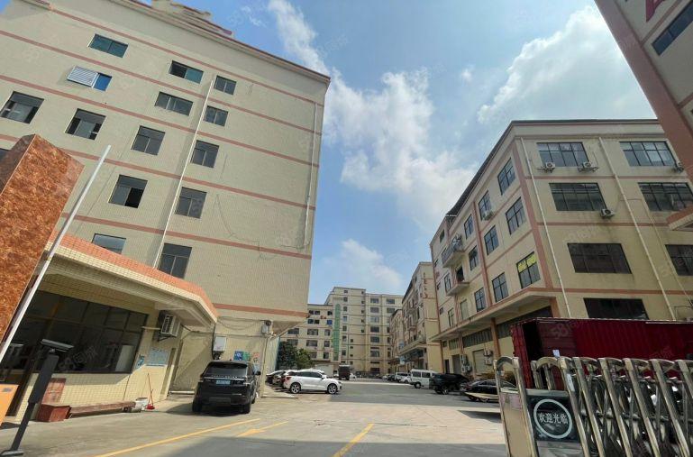 茶山主干道楼上标准厂房11元招租电梯宽2米 带办公室 好招工