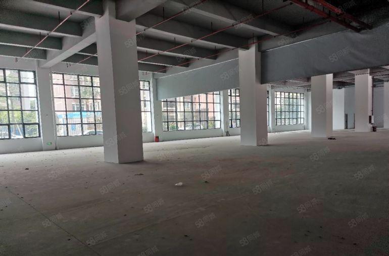 9.9元，还有超长免租期，单层面积大，长度166米