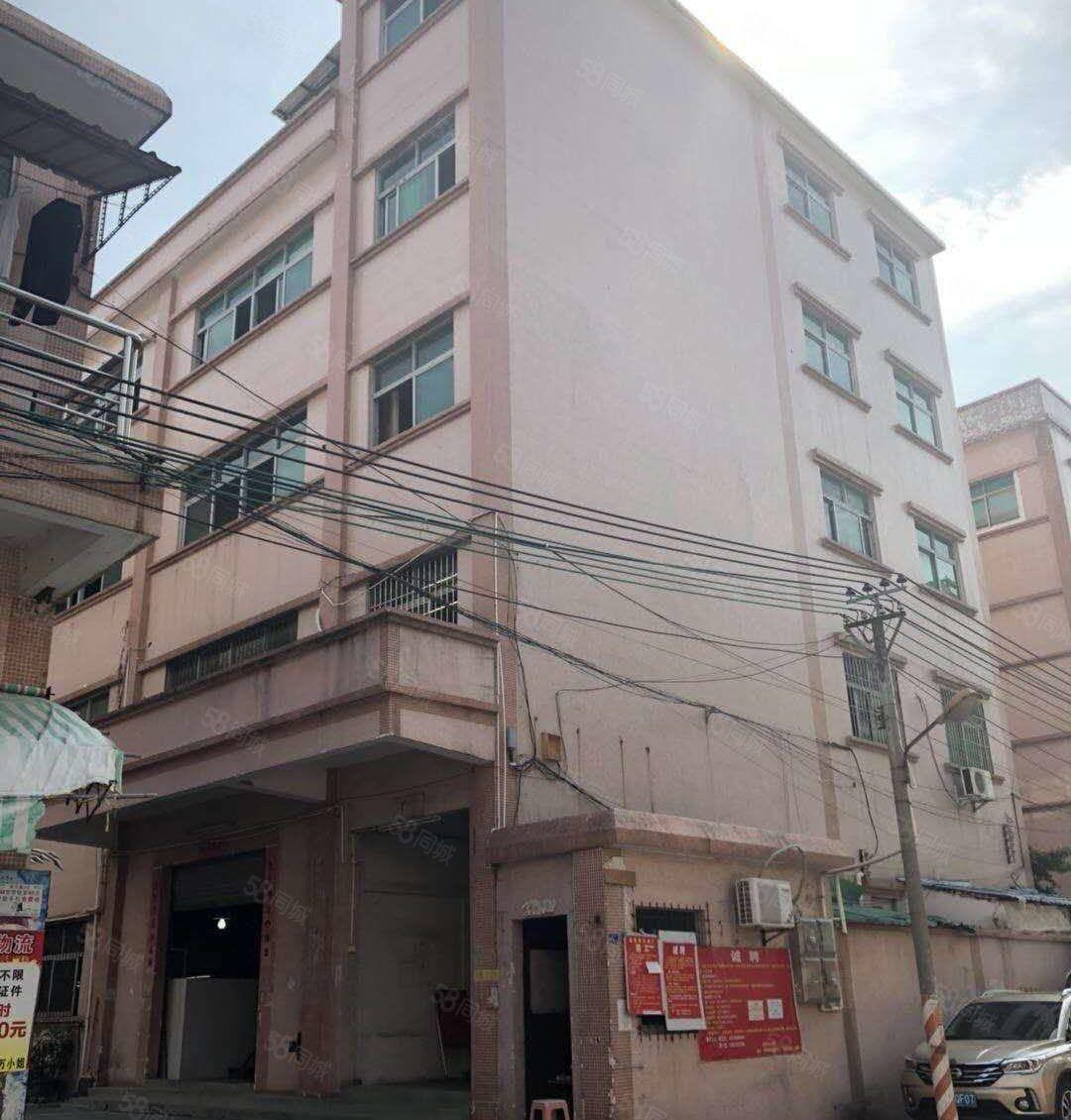 茶山镇原房东带装修厂房分租1100平方招租