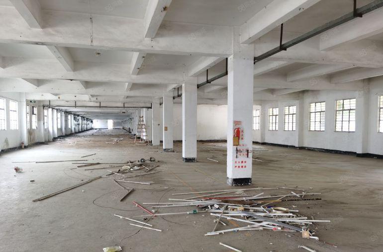 茶山工业园区厂房招租，茶山厂房出租！