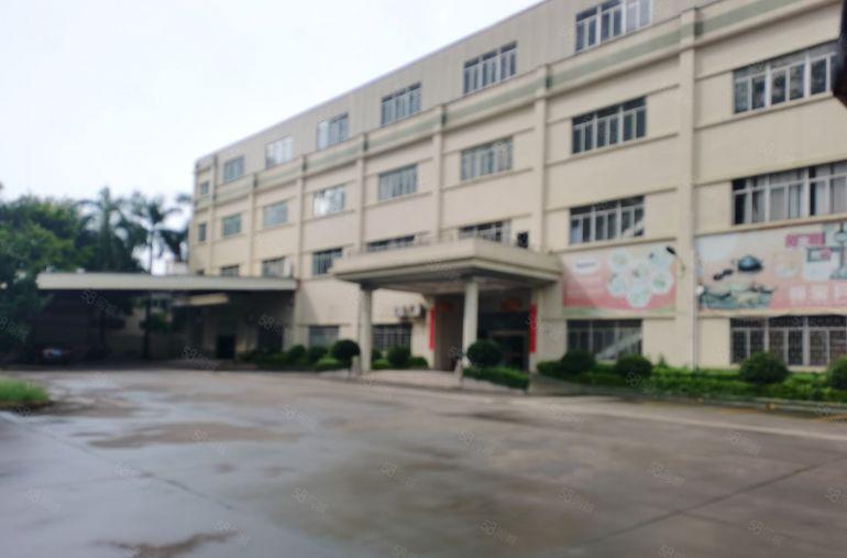 茶山镇原房东独院厂房出租9000平方米分租1000平方米起