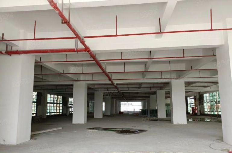 茶山享受政府高新技术补贴厂房出租，全新红本标准厂房