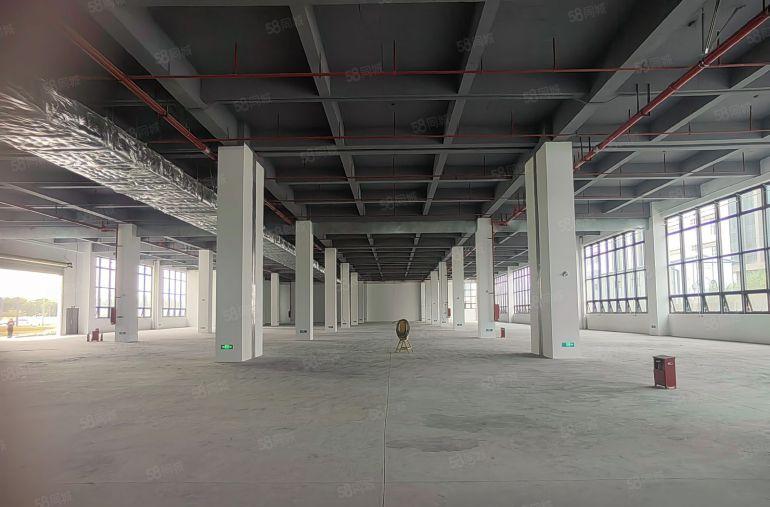 茶山镇全新厂房层高七米二类消防带消防喷淋重工业现成装修可办环