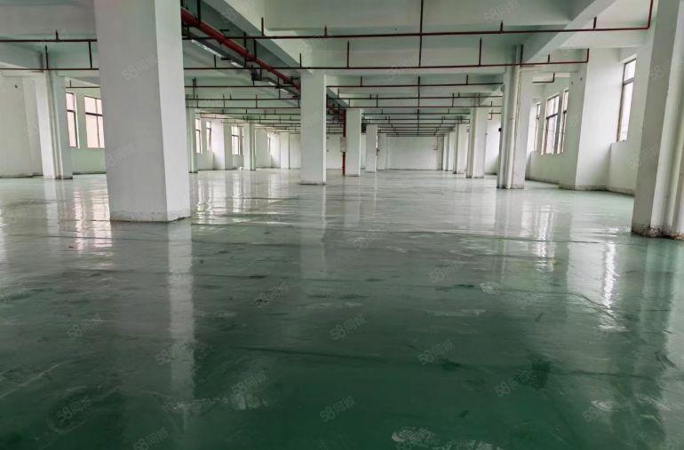 工业厂房出租 茶山镇独门独院厂房分租楼上600平方