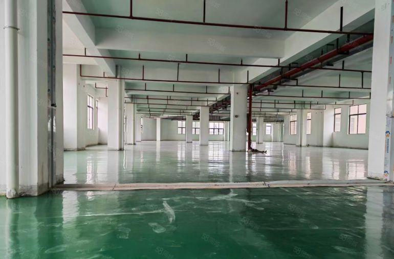 工业厂房出租 茶山镇独门独院厂房分租楼上600平方