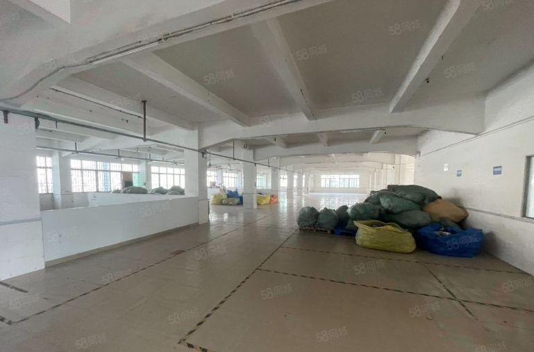 茶山二楼标准厂房12块原房东招租 带现成办公室 空地大保养新