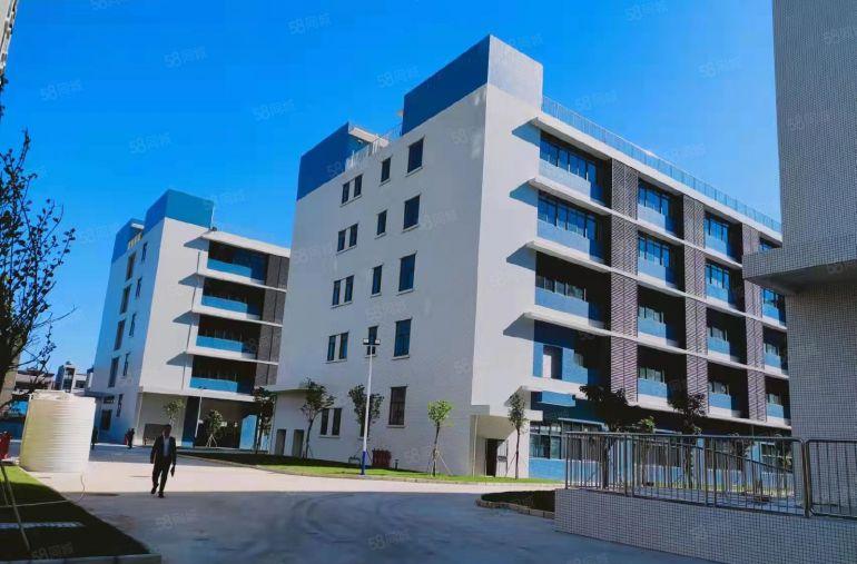 茶山原房东10块一平实际面积！新出2160平红本厂房出租